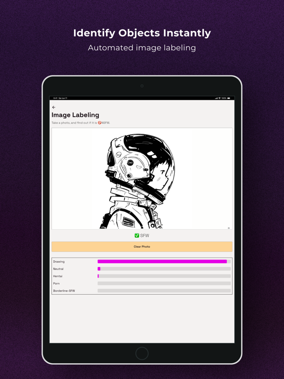 React Native MLKit iPad screenshot 5 - Developer Tools app