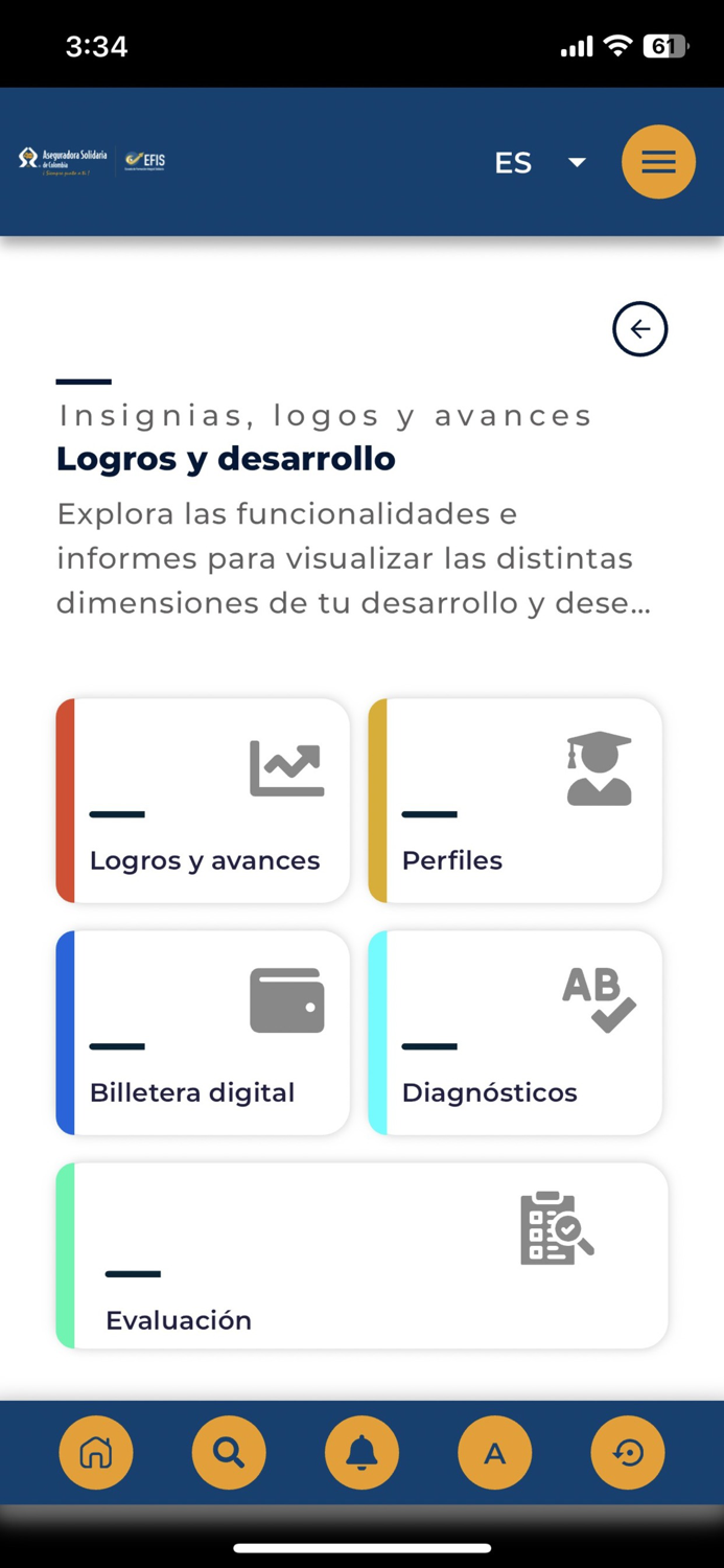 EFIS – Aseguradora Solidaria
