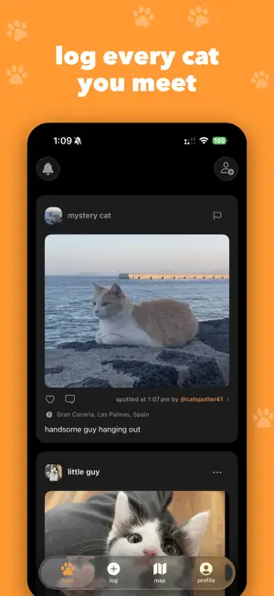 catch (cat tracker) screenshot 1
