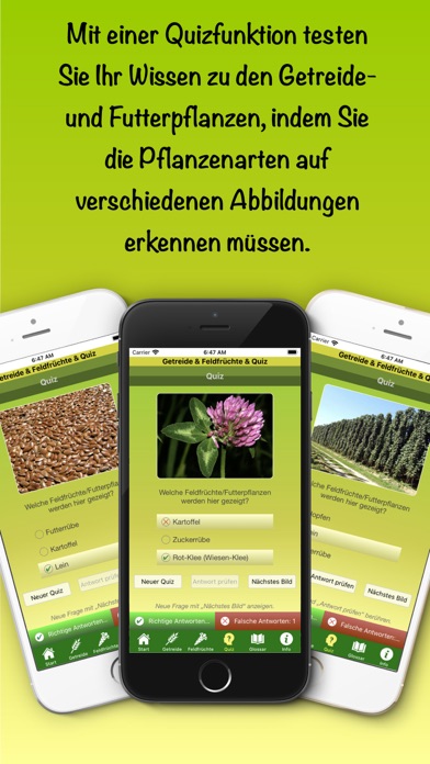 Getreide & Feldfrüchte & Quiz Screenshot