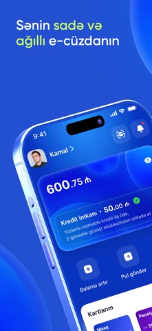 Pulz - Digital Wallet Screenshot 1 of 5
