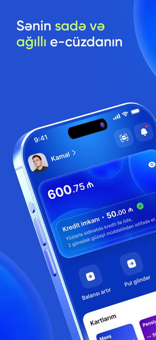 Pulz - Digital Wallet Screenshot 1 of 5