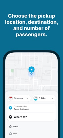 Link Paratransit screenshot