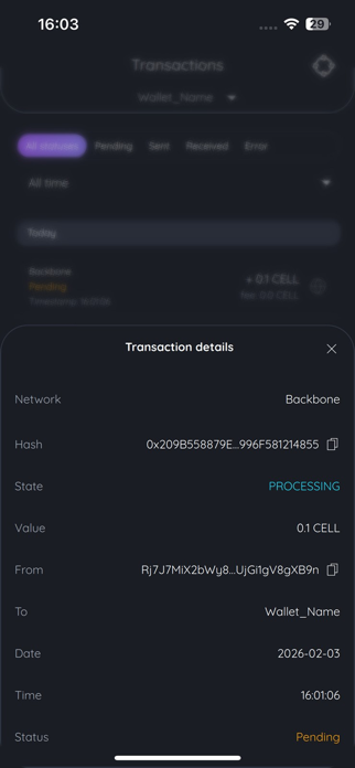 CFWallet - Crypto Wallet Screenshot 8 of 10