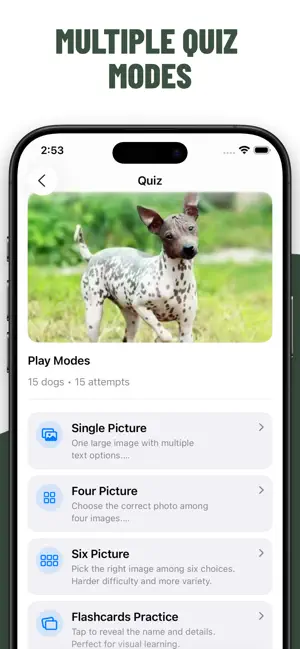 Dogs Quiz Identify Breeds screenshot 2