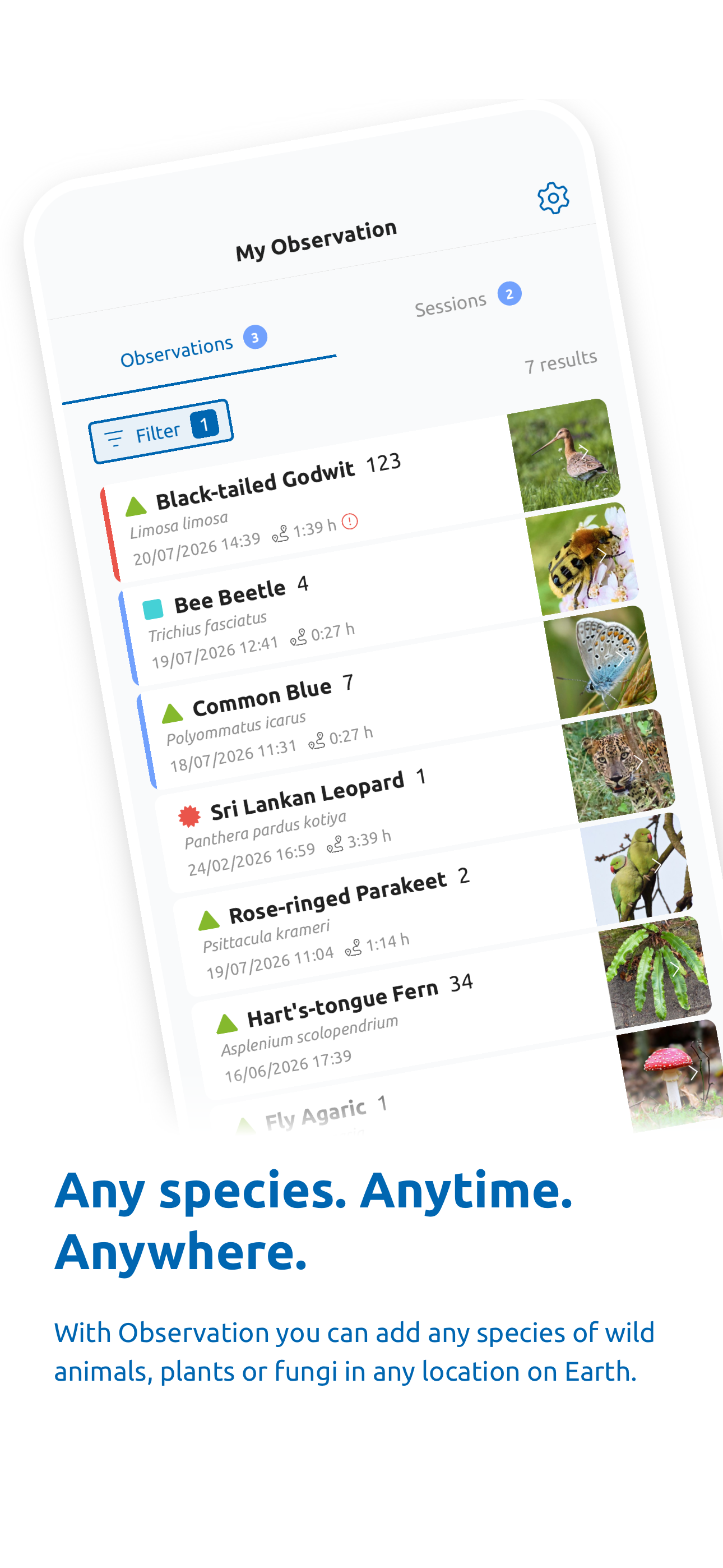 Observation screenshot 3