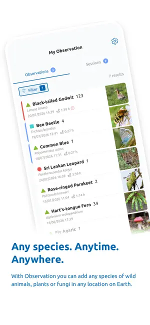 Observation screenshot 3