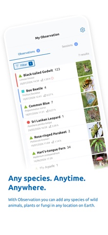 Observation screenshot
