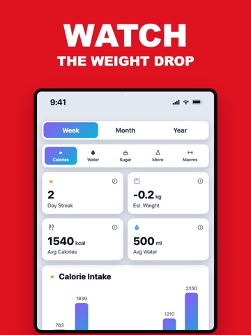 NeroLens: Calorie Tracker iPad screenshot