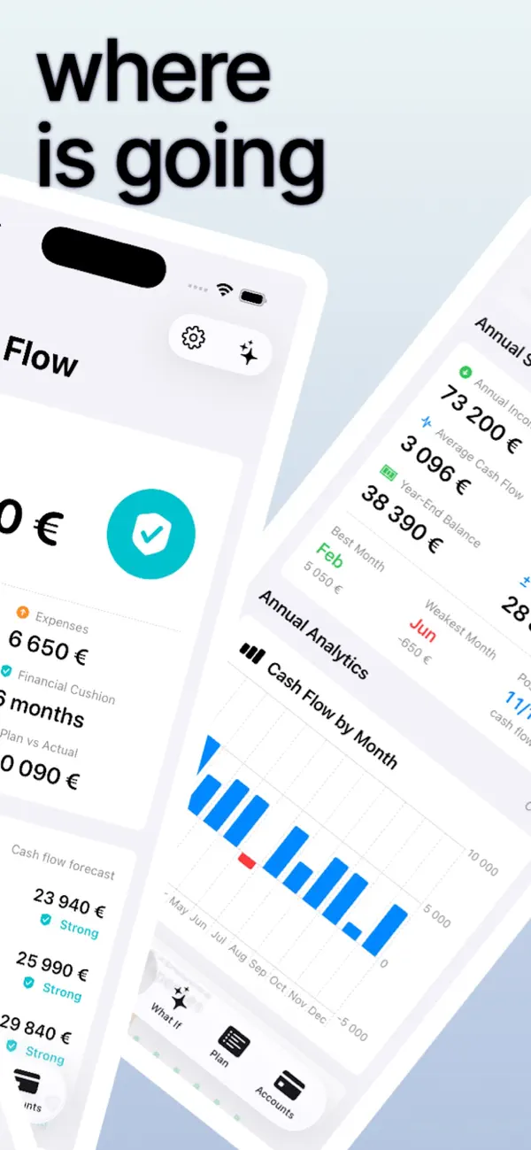 Screenshot #2 pour Money Flow: Budget Planner