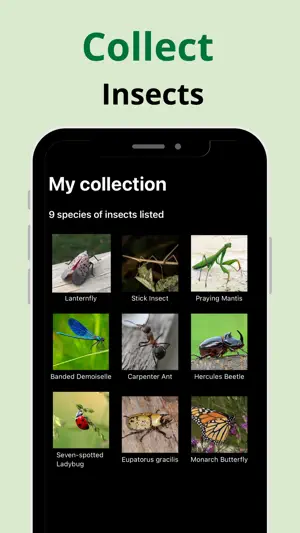 Insect Identifier: Picture AI screenshot 3