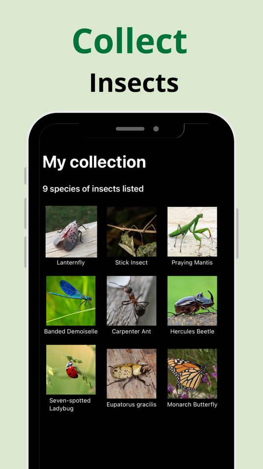 #3. Insect Identifier: Picture AI (iOS) 由: Romain Sion