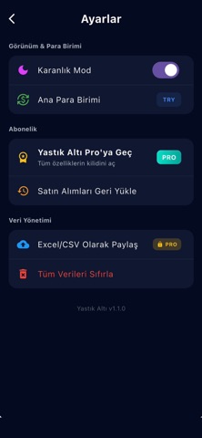 Yastık Altı: Birikim Takibi screenshot