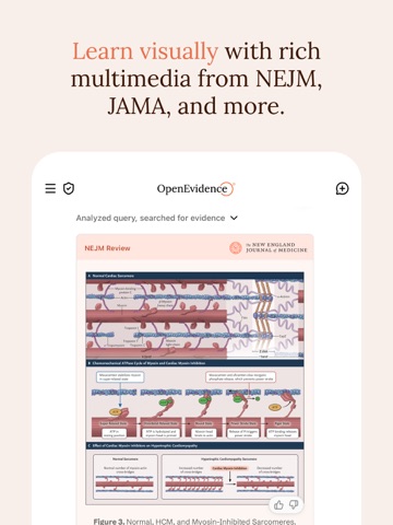 OpenEvidence iPad screenshot 5