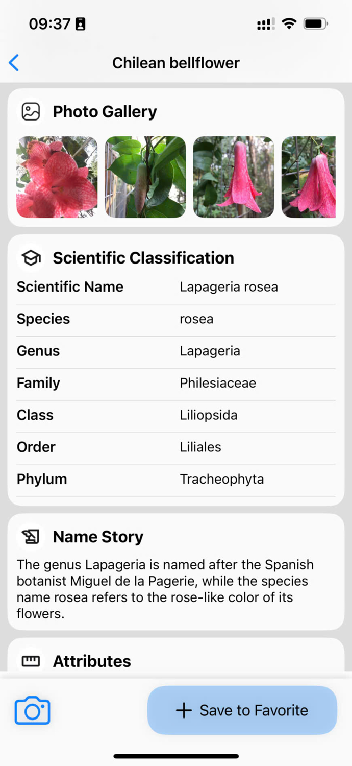 Plant Identifier AI Scanner