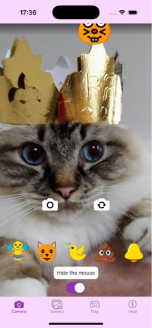 Easy CatSelfie screenshot