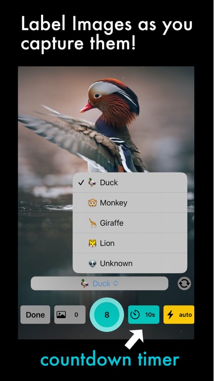 AI Capture: Create ML Datasets