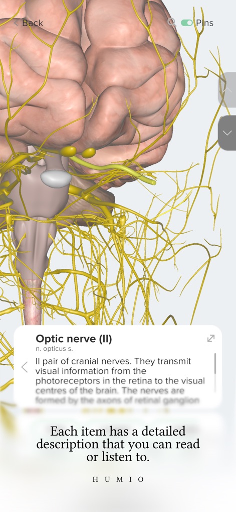 Humio: 3D Human Anatomy - Education App | MWM