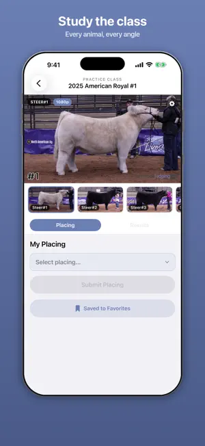 Livestockjudging.com App screenshot 1