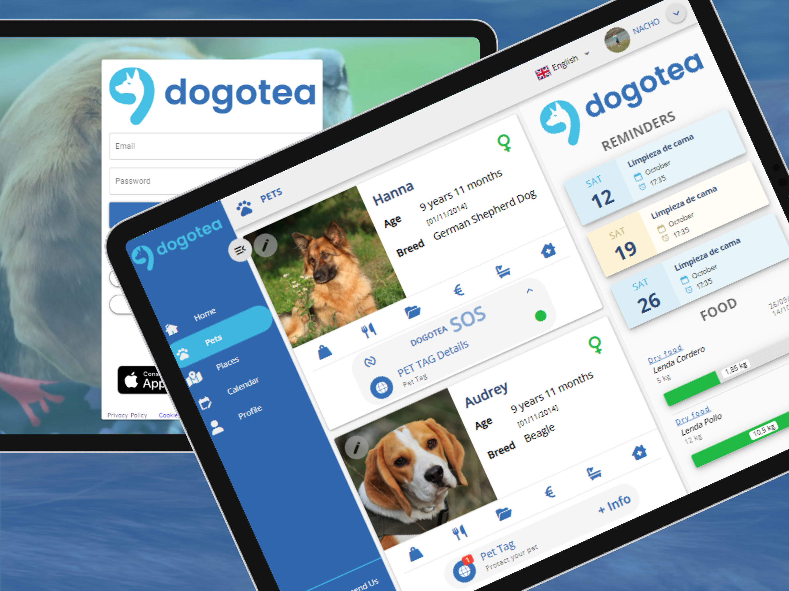 Dogotea: cuidados de tu perro