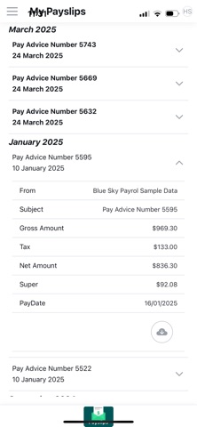 Access MyPay iPhone screenshot
