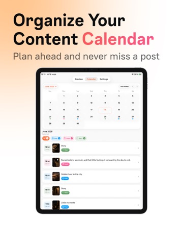Gridley: Feed Preview iPad screenshot