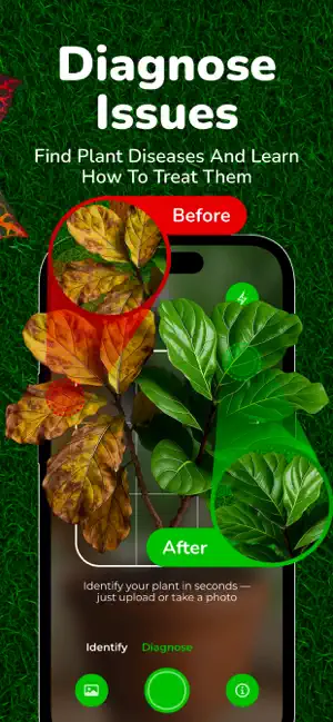 Plant Identifier: WisePlant AI screenshot 3