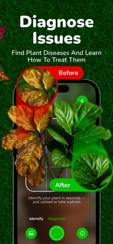 Plant Identifier: WisePlant AI iPhone screenshot