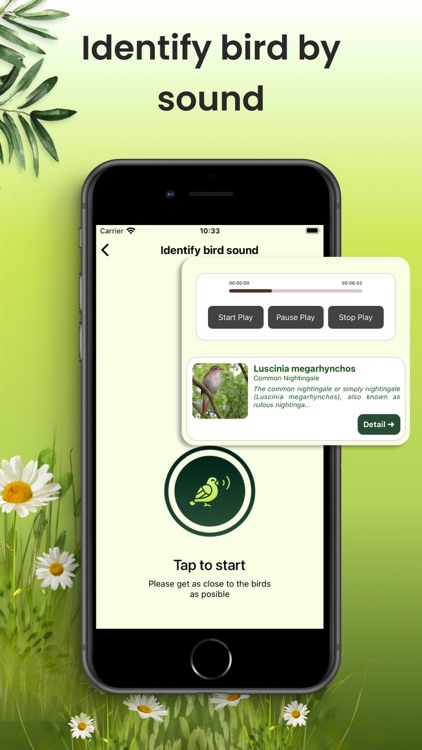 Bird Identifier: Aves Sound ID