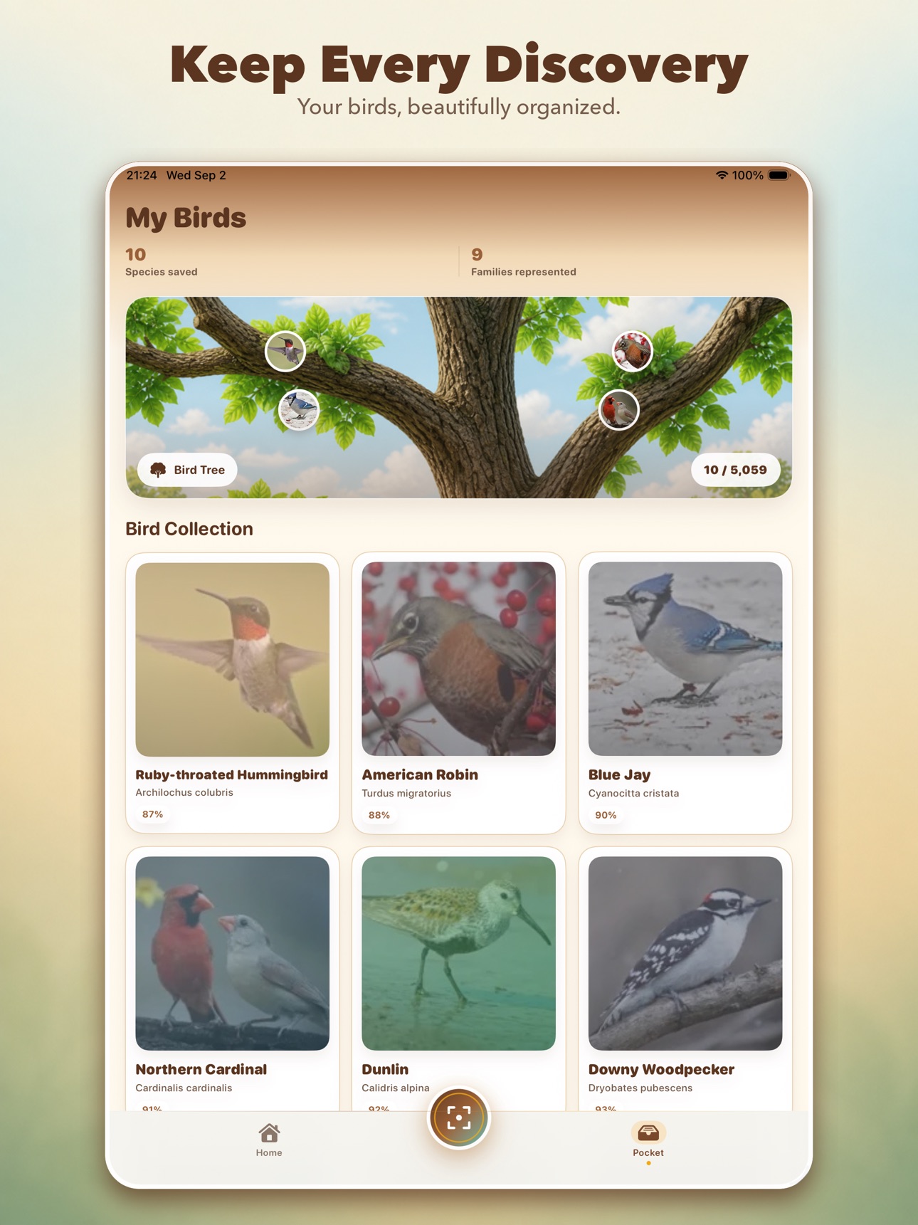 Screenshot 11 of Mr.Bird: Offline Bird ID