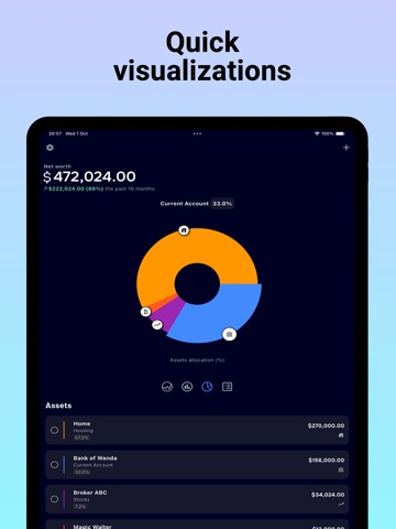 Net Worth Tracker - AssetView iPad screenshot