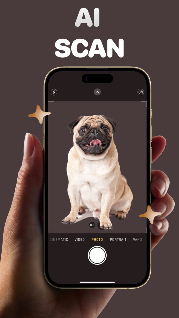 Dog Breed Identifier AI