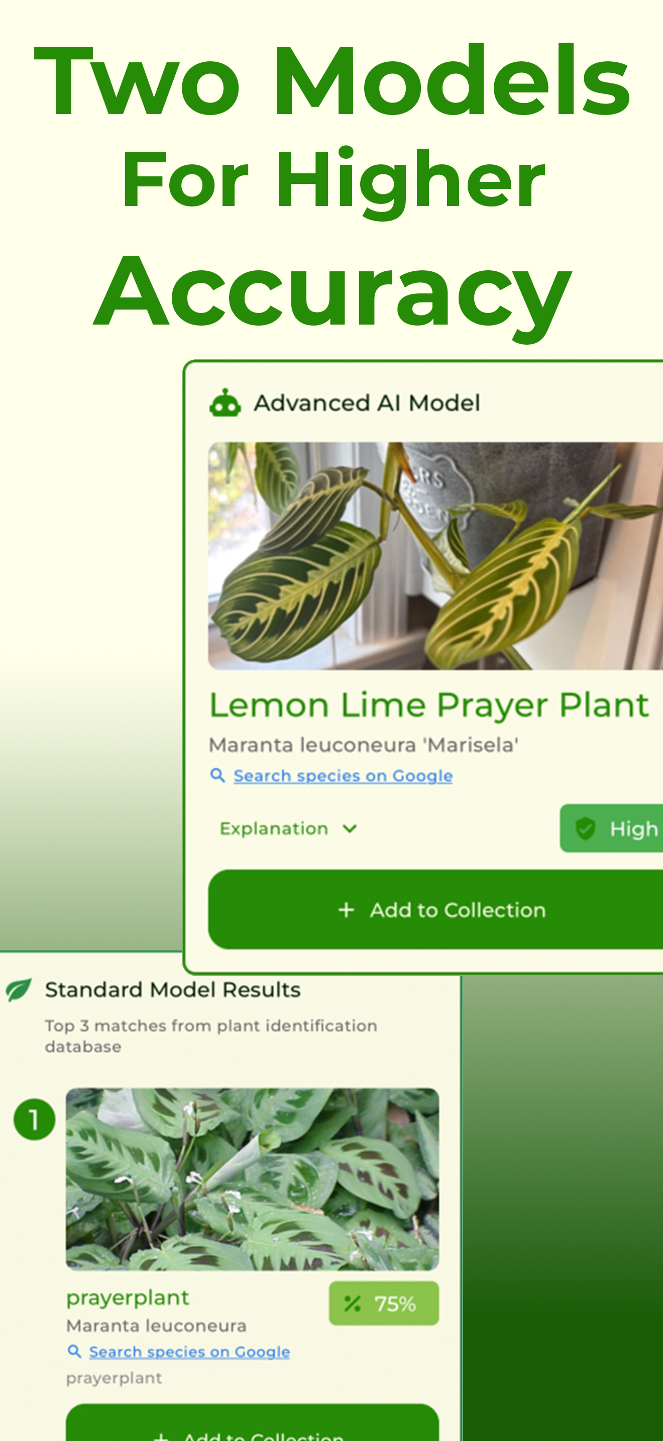 Plantbeat: Plant Identifier screenshot 7