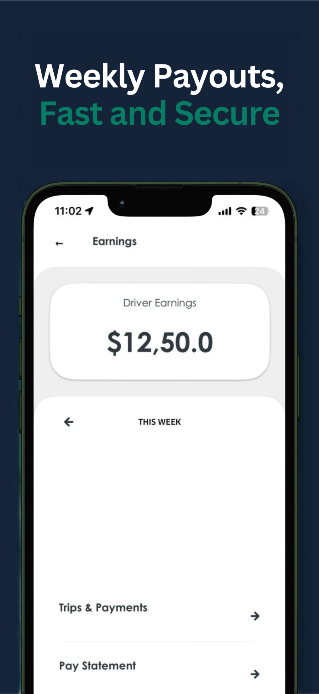 RLine Taxis Driver screenshot 3