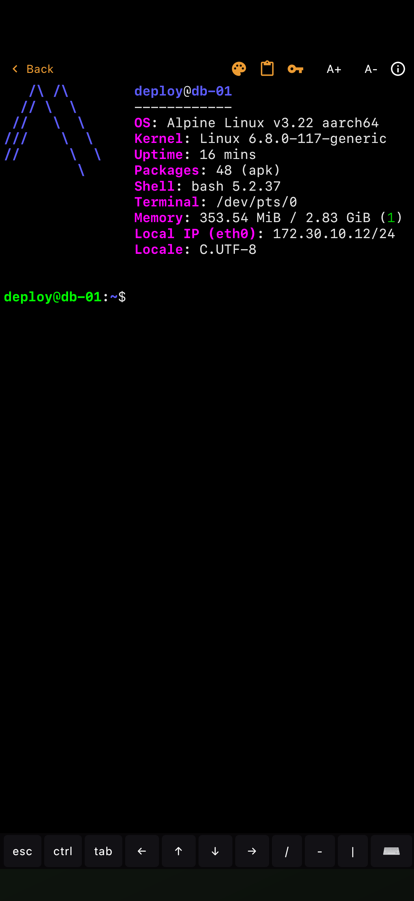 DR-Terminal screenshot 6