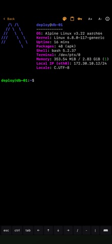 DR-Terminal screenshot