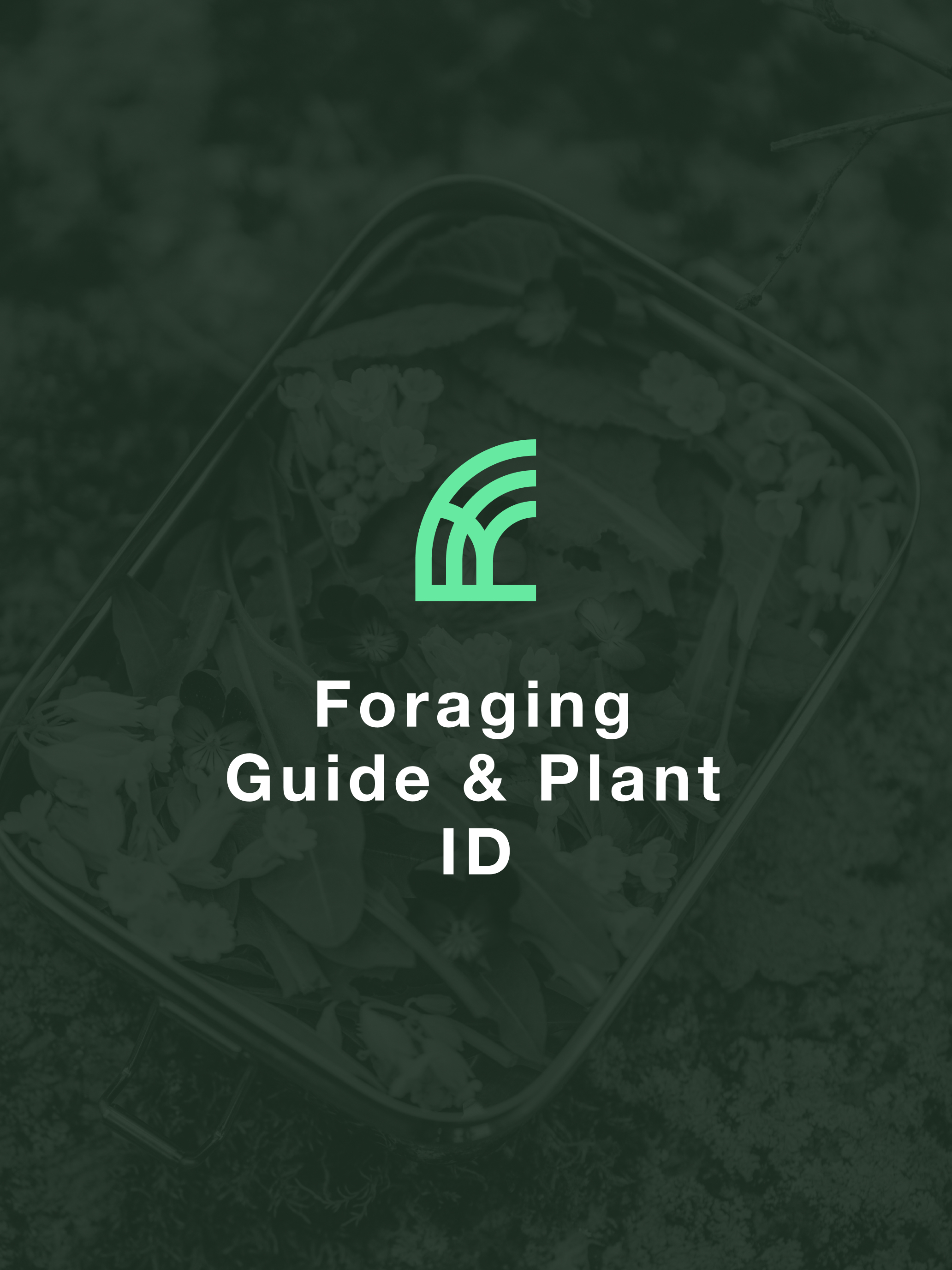 Forage ID: Wild Food Forager screenshot 7