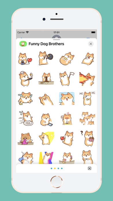 Funny Dog Brothers Screenshot