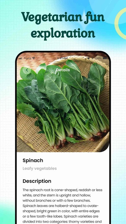 Chili-Vegetable value