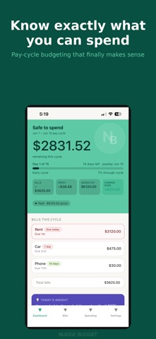 Nudge Budget screenshot