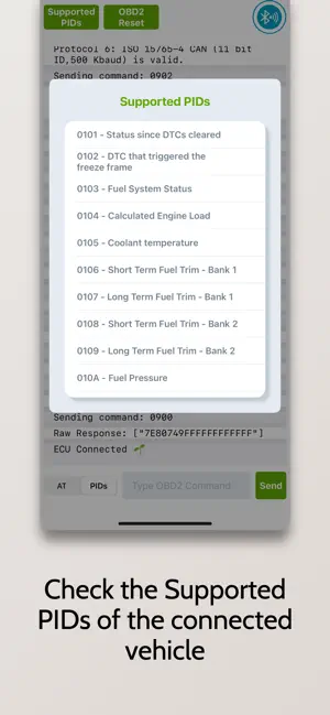 OBDII Terminal - ELM327 iPhone screenshot 4
