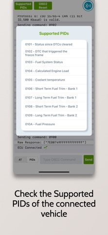 OBDII Terminal - ELM327 iPhone screenshot 4