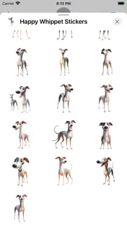 happy whippet stickers iphone screenshot 3