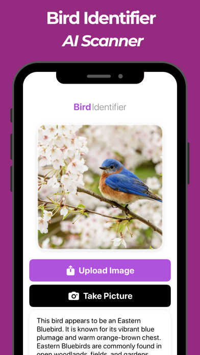 Bird Identifier & Bird AI Id Screenshot