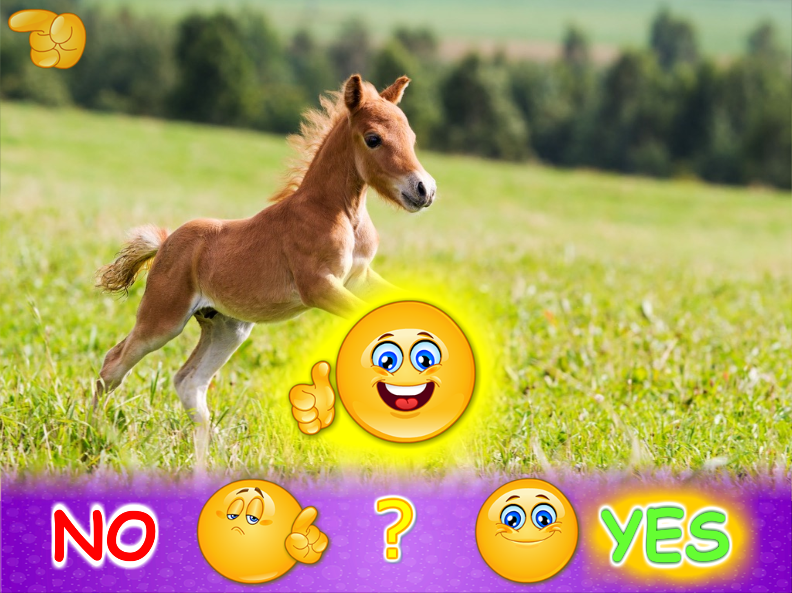 Animal picture games for kids screenshot 12