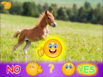 Animal picture games for kids iPad screenshot