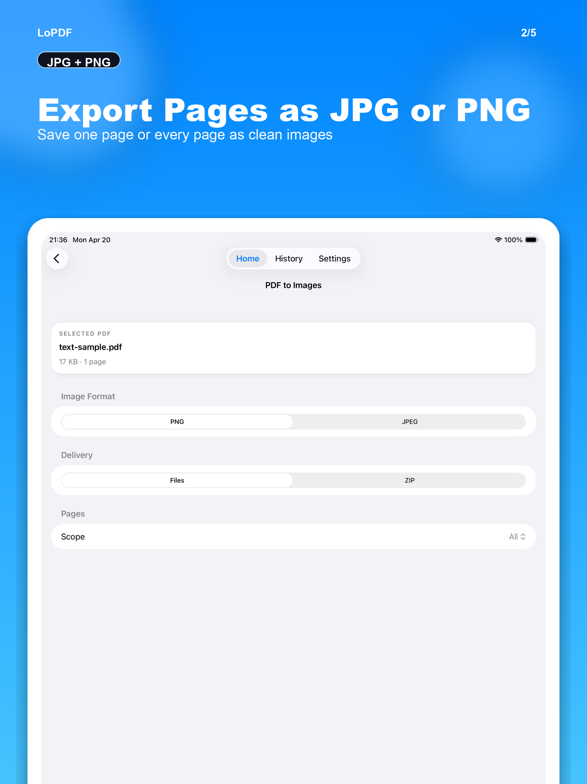 LoPDF: PDF to Word
