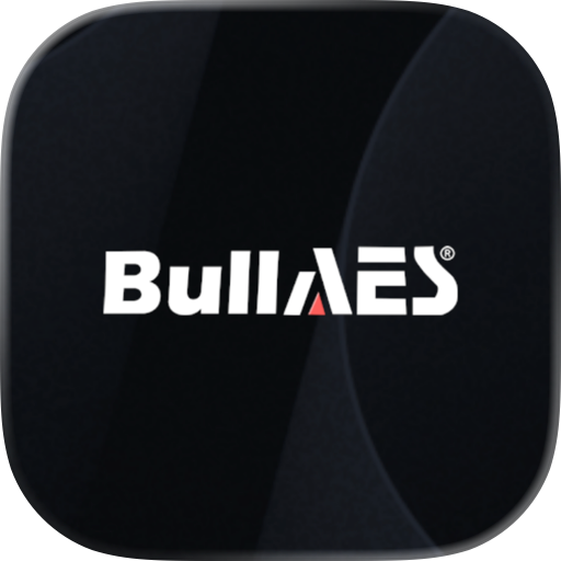 BullAES & Ups Way Maker