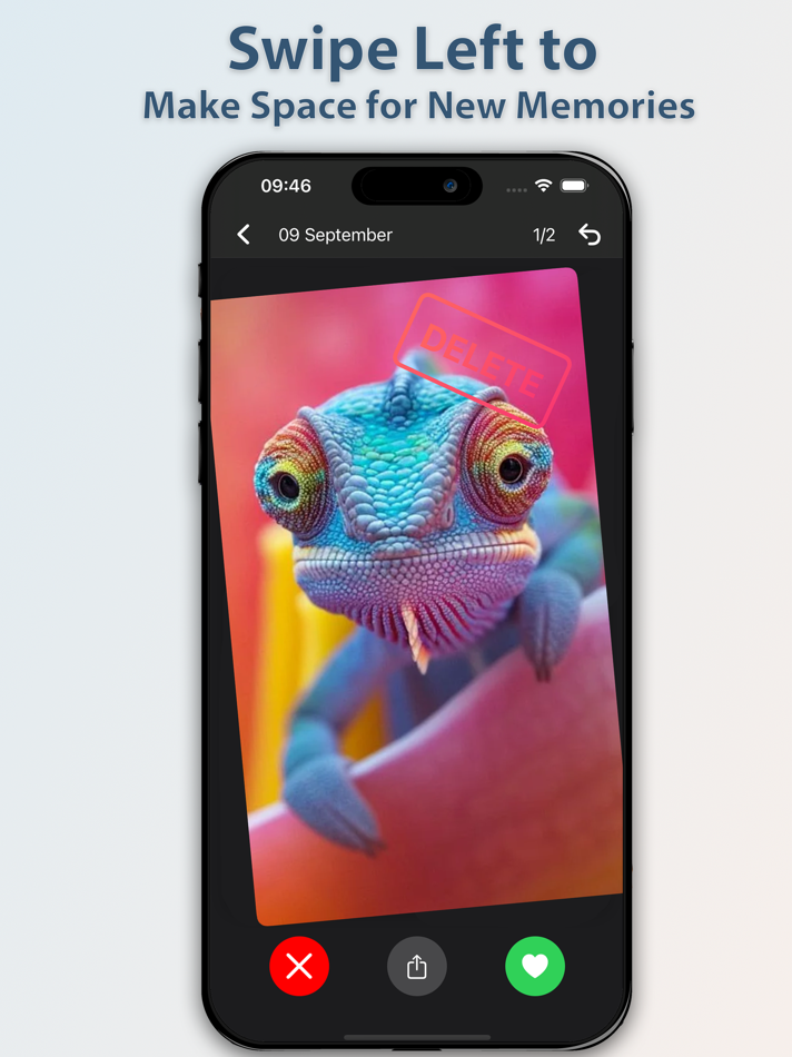 #5. Gallery Swipe Photo Cleaner (iOS) 由: Muhammed Numan Yildirim