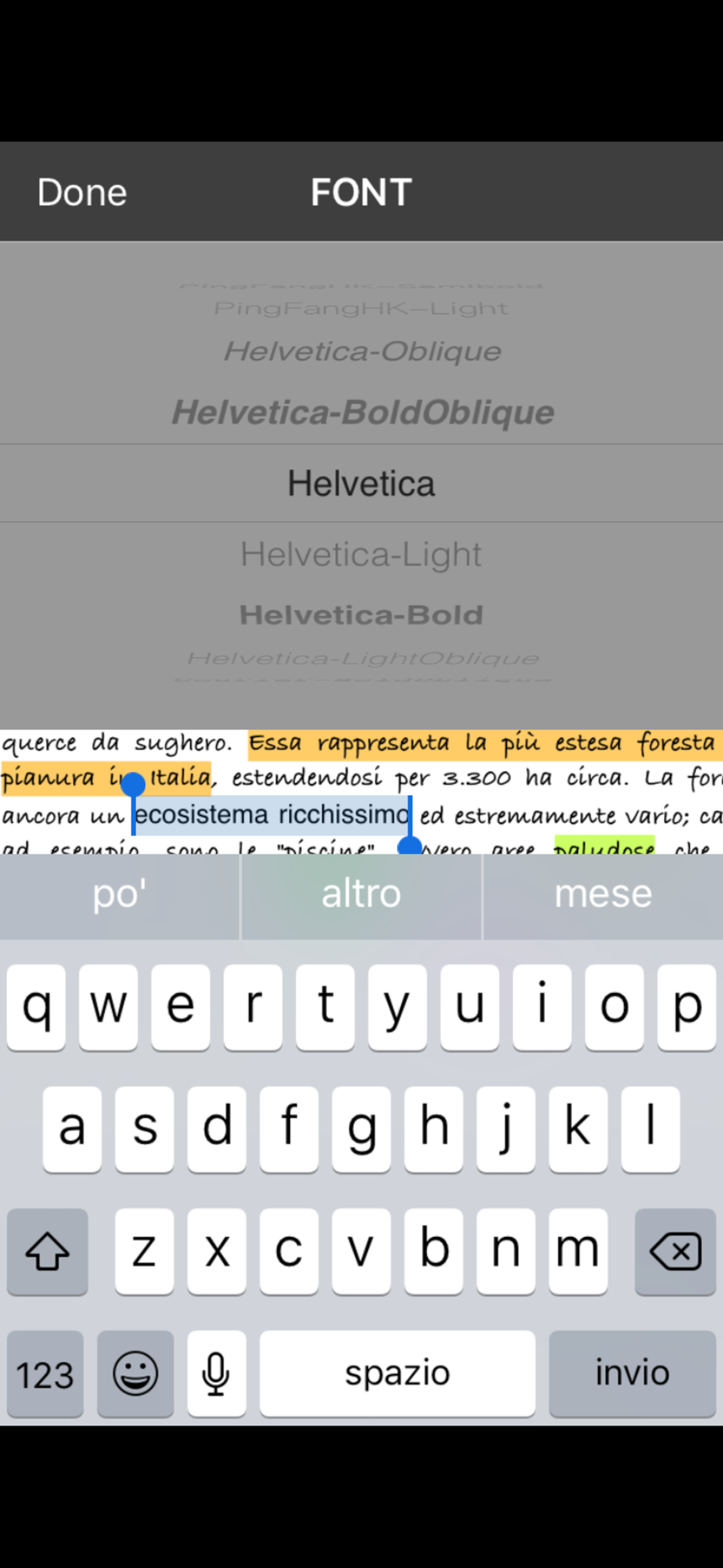 iWord PRO